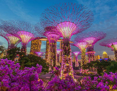 Gardens by the Bay